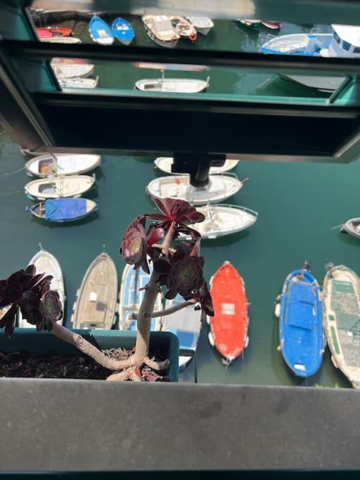 Attico Sul Porticciolo Antico Di Camogli Διαμέρισμα Εξωτερικό φωτογραφία
