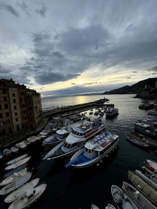 Attico Sul Porticciolo Antico Di Camogli Διαμέρισμα Εξωτερικό φωτογραφία