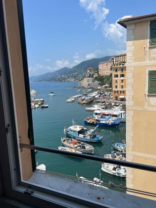 Attico Sul Porticciolo Antico Di Camogli Διαμέρισμα Εξωτερικό φωτογραφία